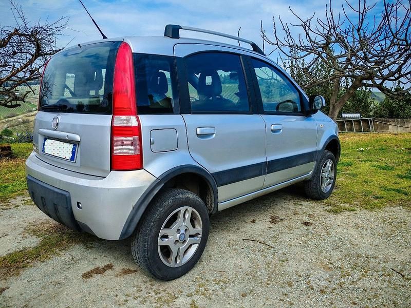 Usata Fiat Panda 4x4 95 CV (69 kW) 2010 Grigio Utilitaria