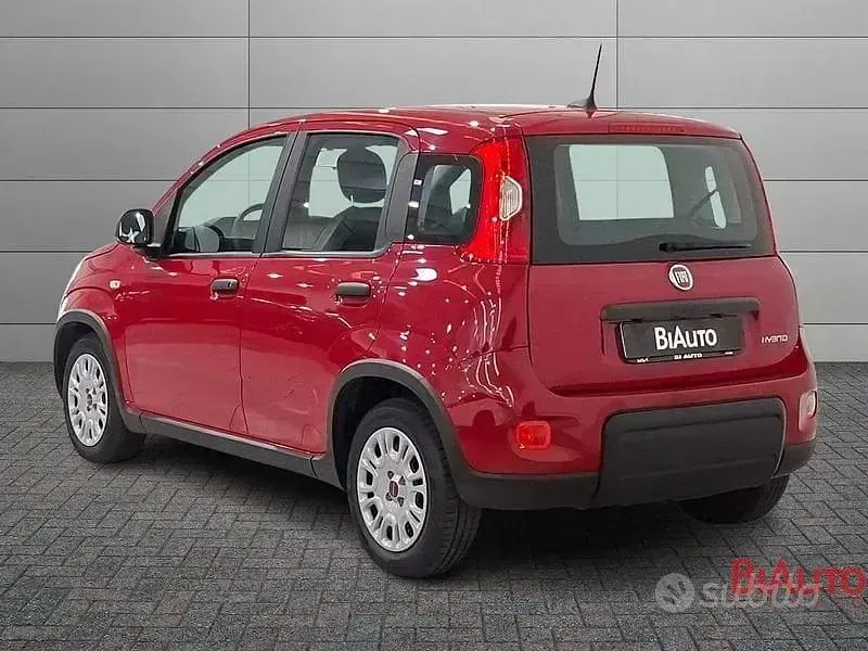 Usata Fiat Panda S 70 CV (51 kW) 2024 Rosso Utilitaria