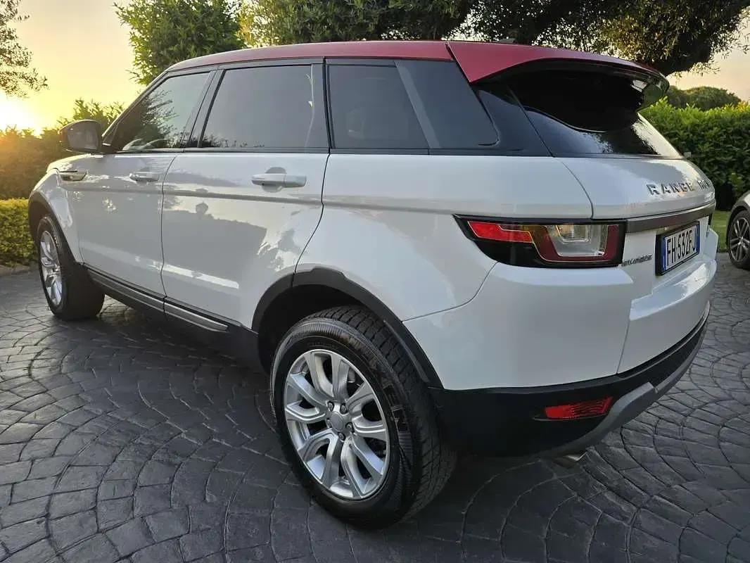 Usata Land Rover Range Rover evoque 150 CV (110 kW) 2017 Bianco SUV