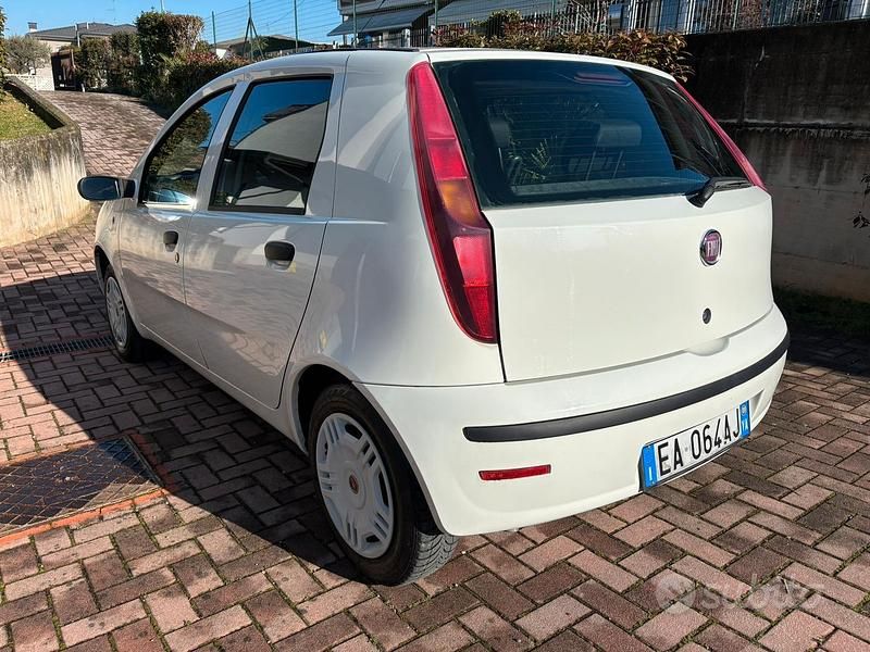 Usata Fiat Punto Active 2009 Bianco Berlina