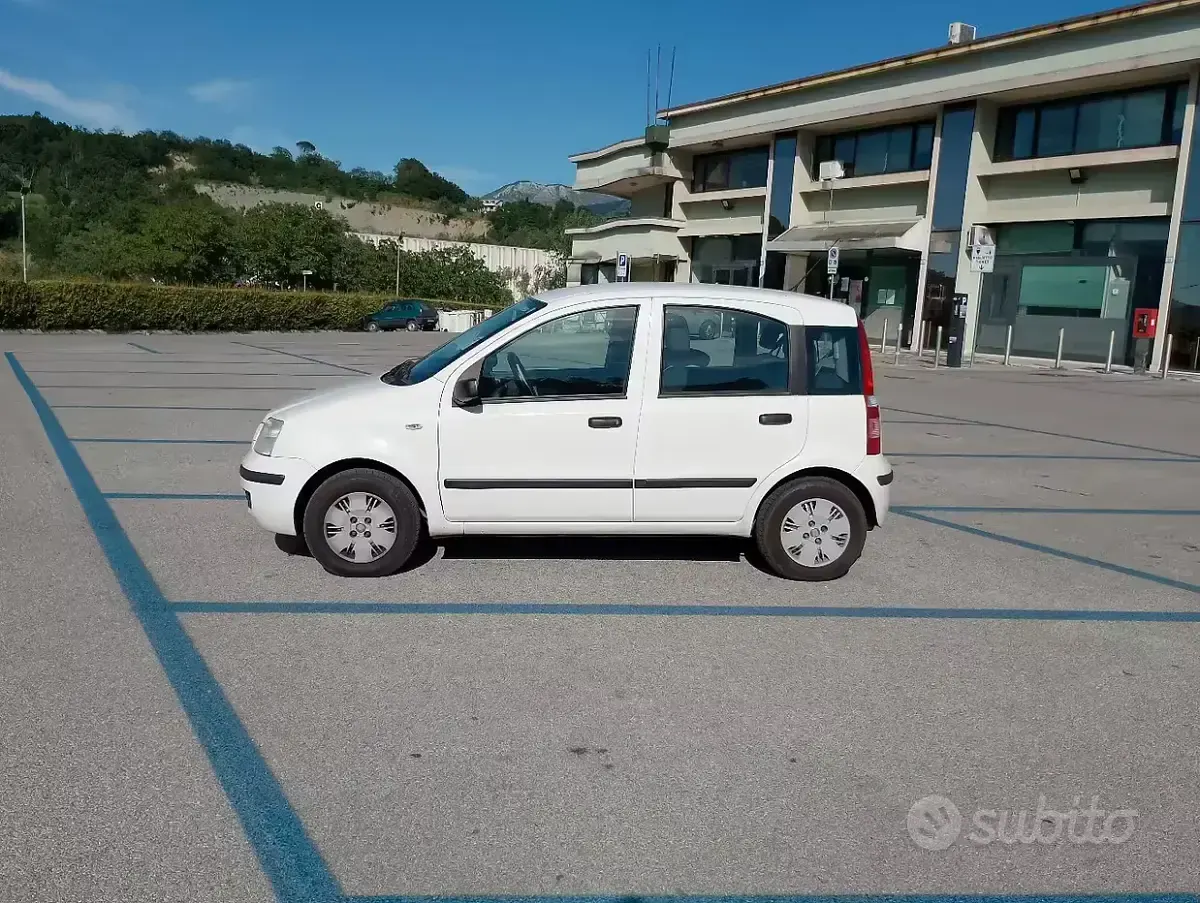 Usata Fiat Panda 2009 Bianco Utilitaria