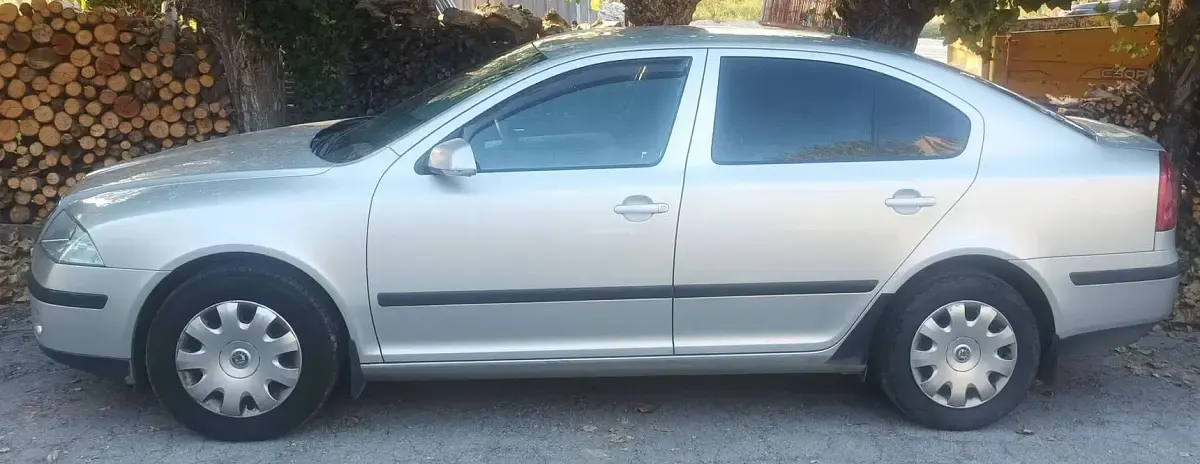 Usata Skoda Octavia Ambiente 105 CV (77 kW) 2006 Berlina