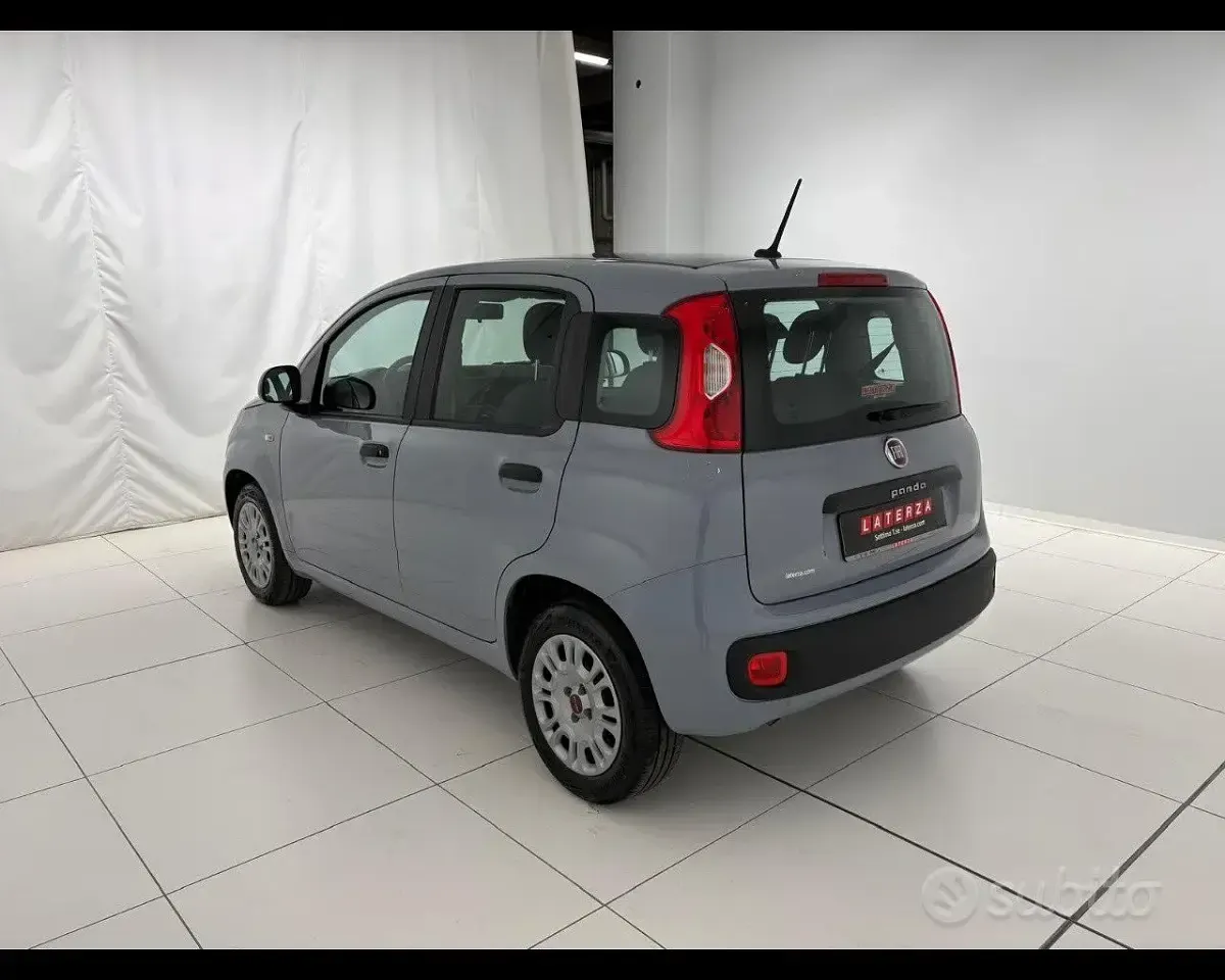 Usata Fiat Panda Easy 69 CV (50 kW) 2021 Grigio Utilitaria