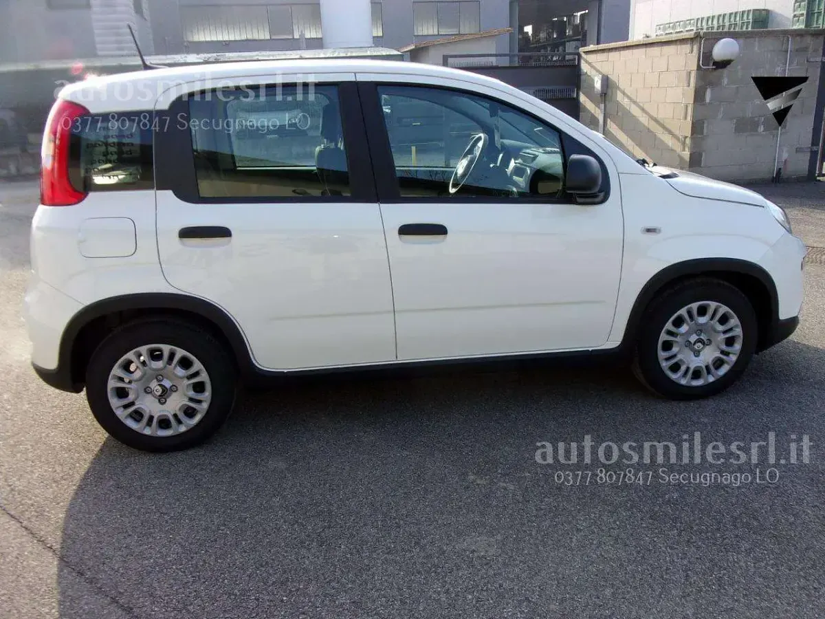 Nuova Fiat Panda S 69 CV (50 kW) 2026 Bianco Utilitaria