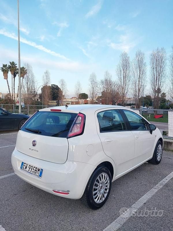 Usata Fiat Punto Evo Young 75 CV (55 kW) 2014 Bianco Utilitaria