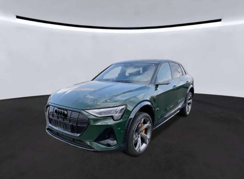 Usata Audi e-tron Business 225 kW (307 CV) 2021 Verde SUV