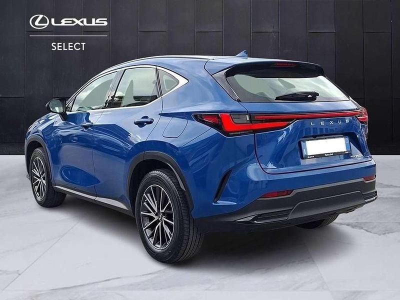 Usata Lexus NX350h 243 CV (178 kW) 2023 Blu SUV