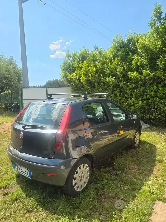 Usata Fiat Punto Active 60 CV (44 kW) 2009 Utilitaria
