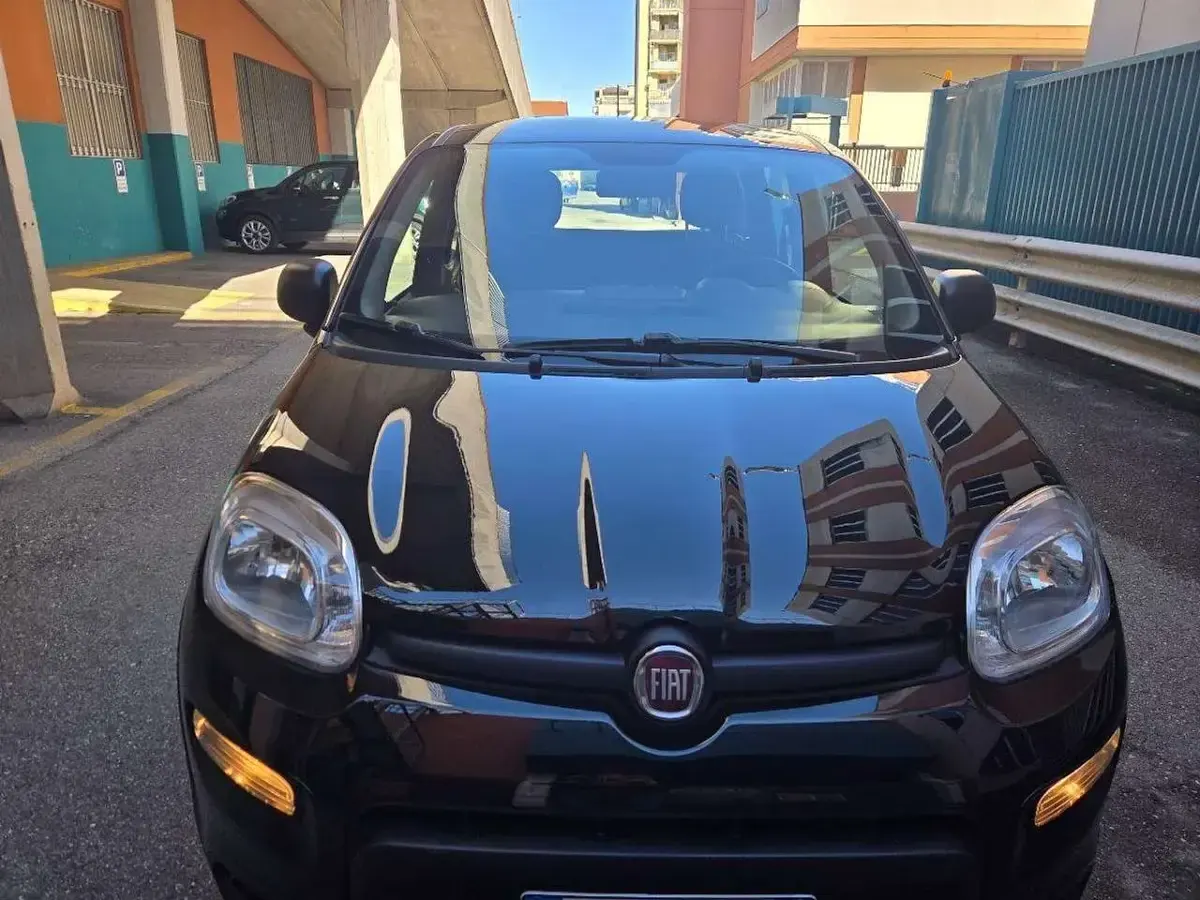 Usata Fiat Panda S 71 CV (52 kW) 2023 Nero Utilitaria