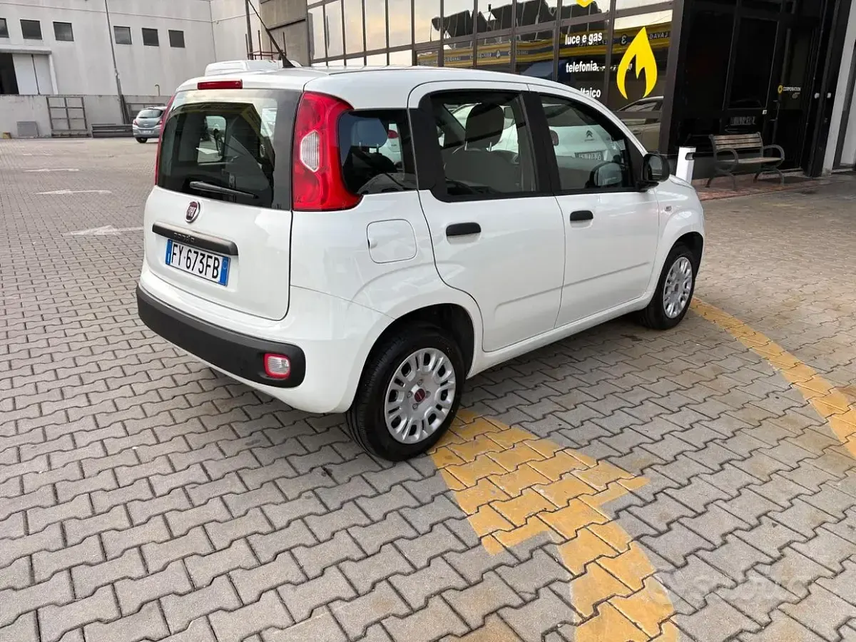 Usata Fiat Panda Lounge 69 CV (50 kW) 2019 Bianco Utilitaria