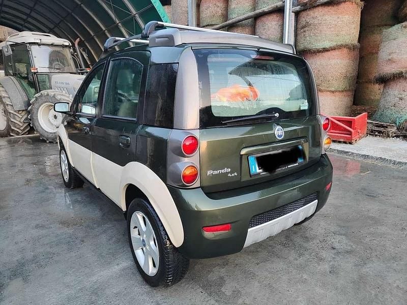 Usata Fiat Panda 4x4 Cross 95 CV (69 kW) 2006 Verde Utilitaria
