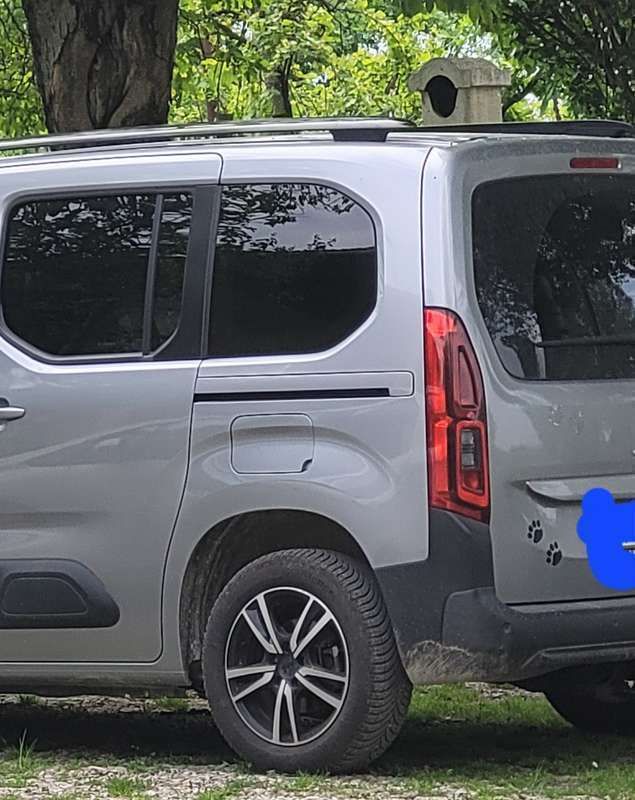 Grigio Usata 2019 Citroën Berlingo Live Monovolume | 16.500 € (Cara) - Immagine 1/4
