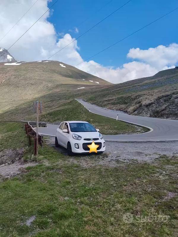 Usata Kia Picanto 2015 Bianco Utilitaria