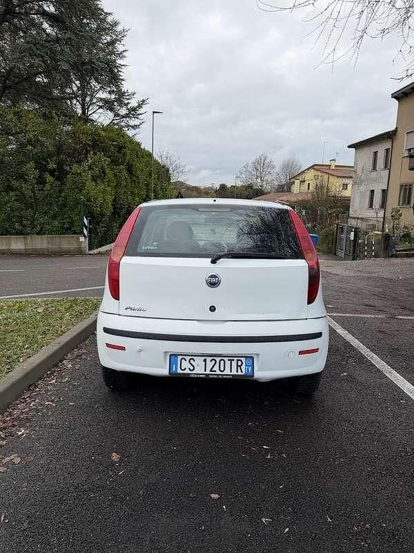 Usata Fiat Punto Active 60 CV (44 kW) 2004 Utilitaria