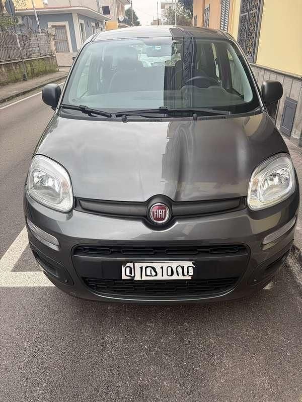 Usata Fiat Panda Easy 69 CV (50 kW) 2019 Grigio Utilitaria