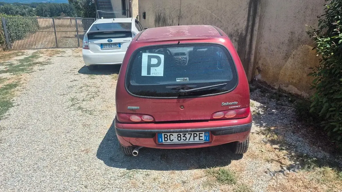 Usata Fiat Seicento 54 CV (39 kW) 1999 Utilitaria