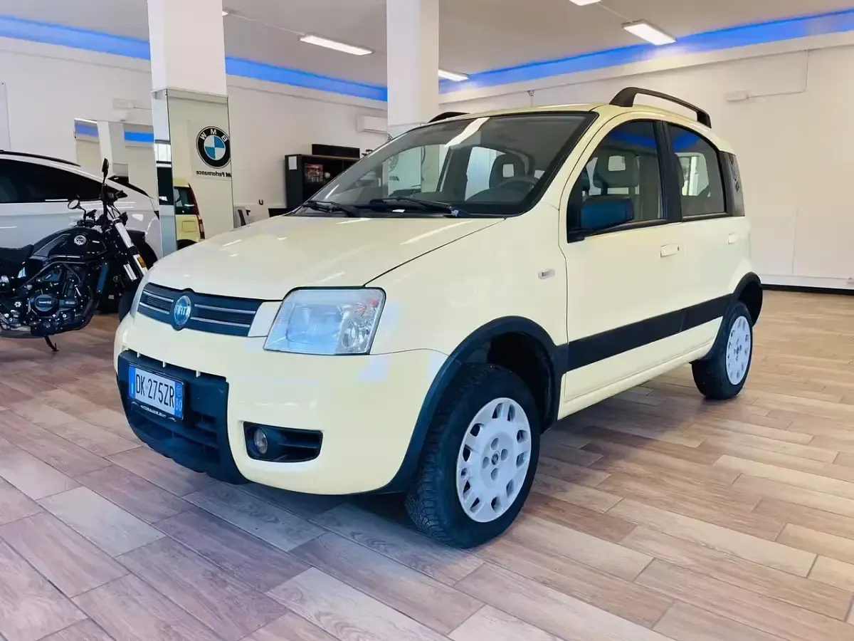 Usata Fiat Panda 4x4 Dynamic 69 CV (50 kW) 2007 Utilitaria