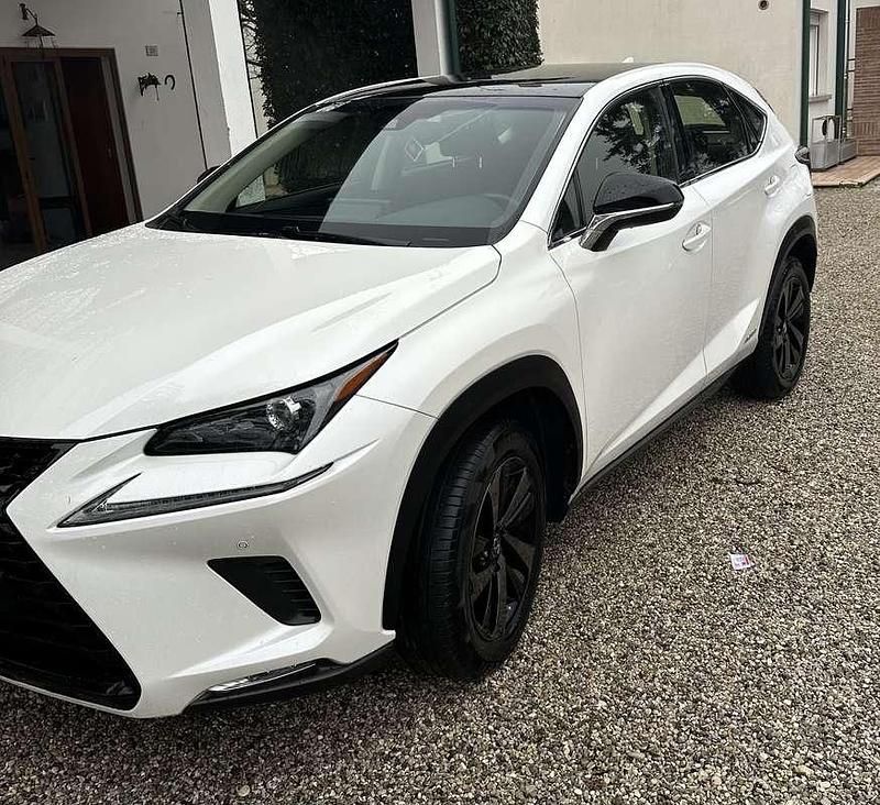 Usata Lexus NX300h 155 CV (114 kW) 2019 SUV