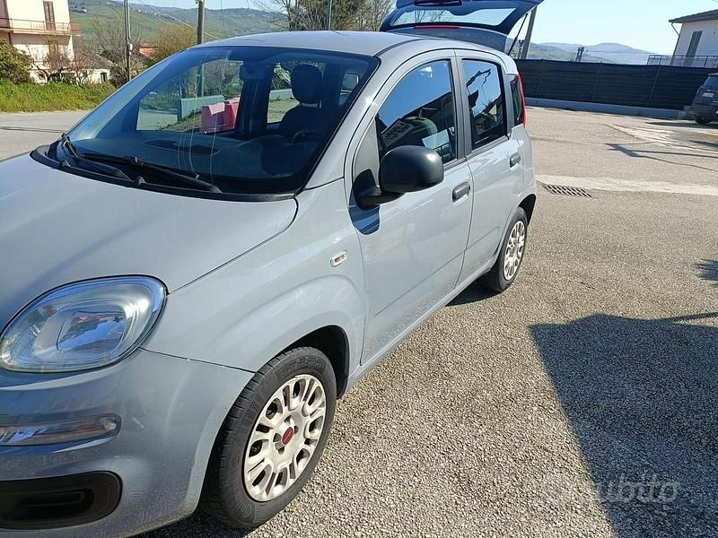 Usata Fiat Panda 69 CV (50 kW) 2019 Grigio Utilitaria