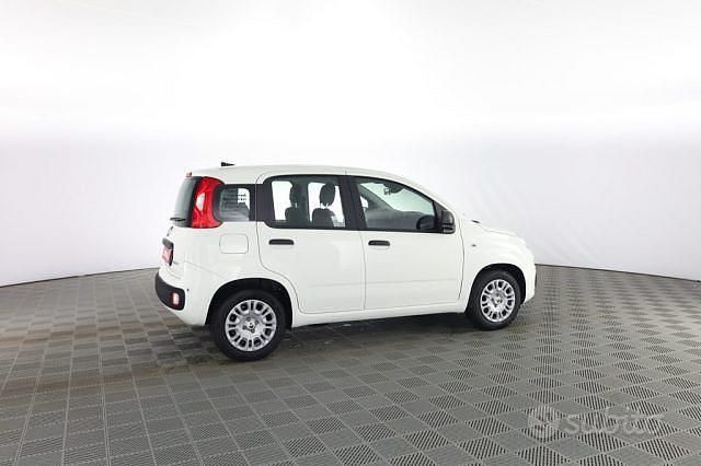 Nuova Fiat Panda Icon 65 CV (47 kW) 2025 Bianco Utilitaria