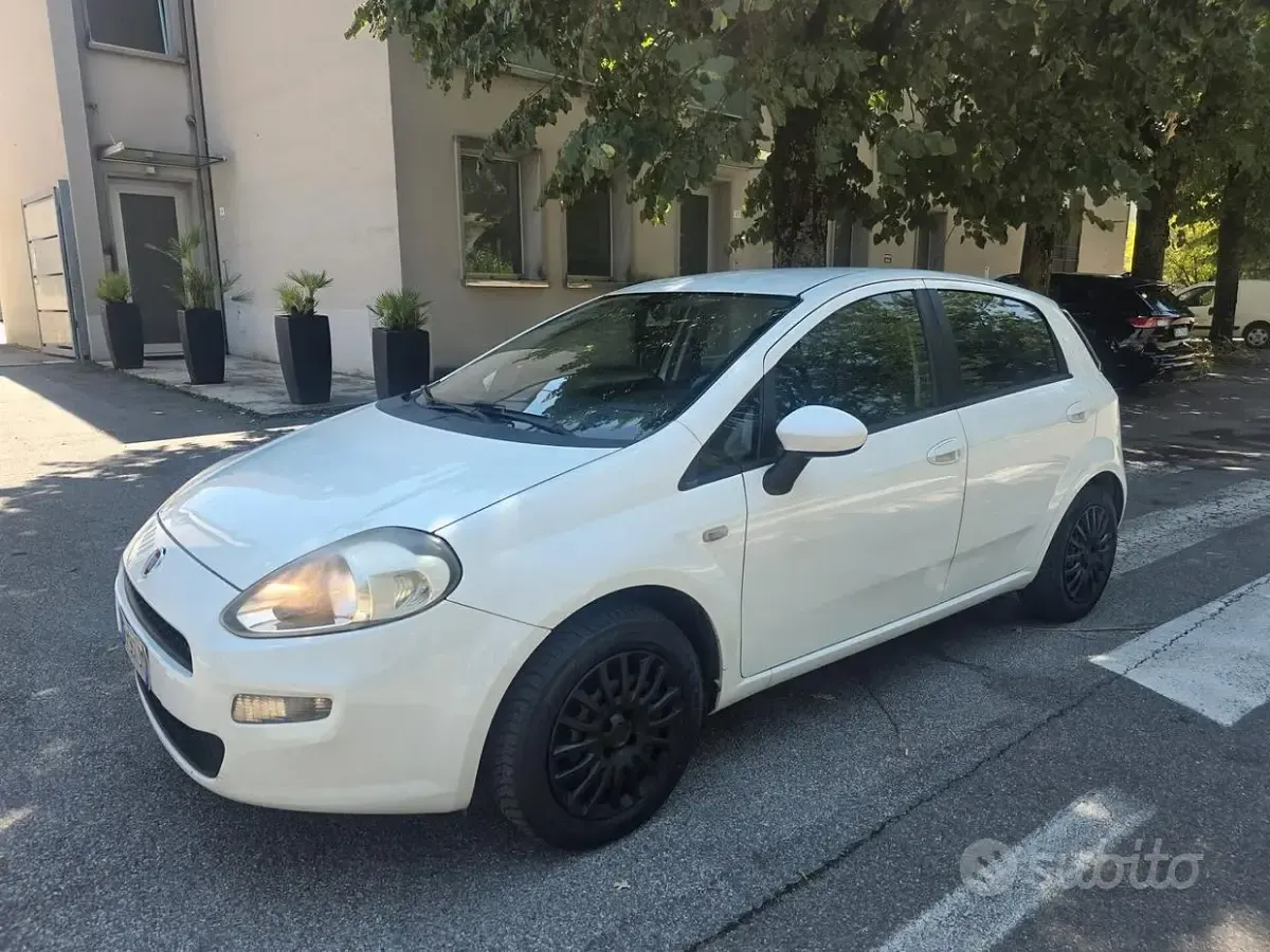 Usata Fiat Punto Lounge 77 CV (56 kW) 2014 Utilitaria