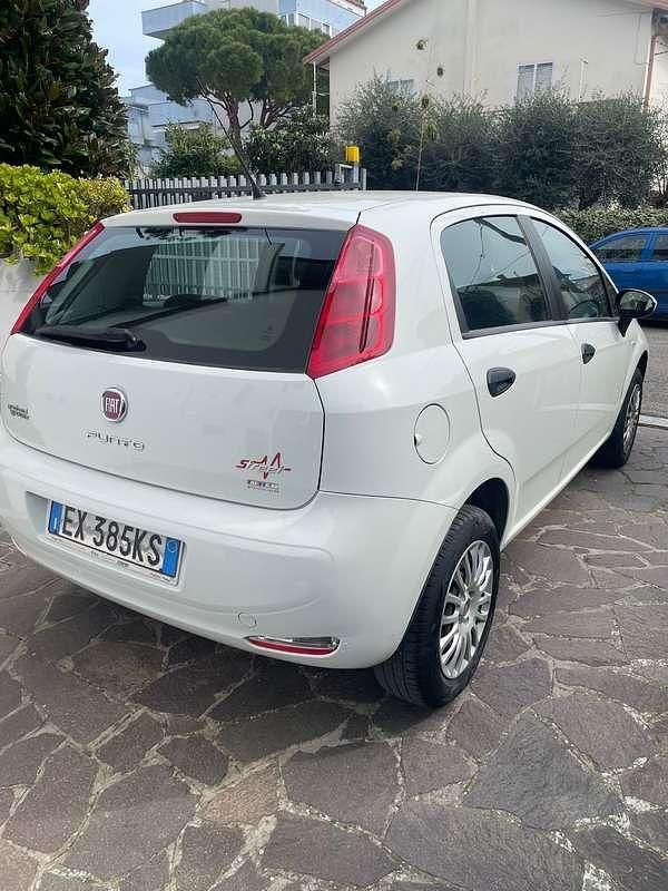 Usata Fiat Punto Easy 69 CV (50 kW) 2014 Utilitaria
