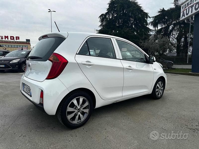 Usata Kia Picanto 67 CV (49 kW) 2016 Bianco Utilitaria
