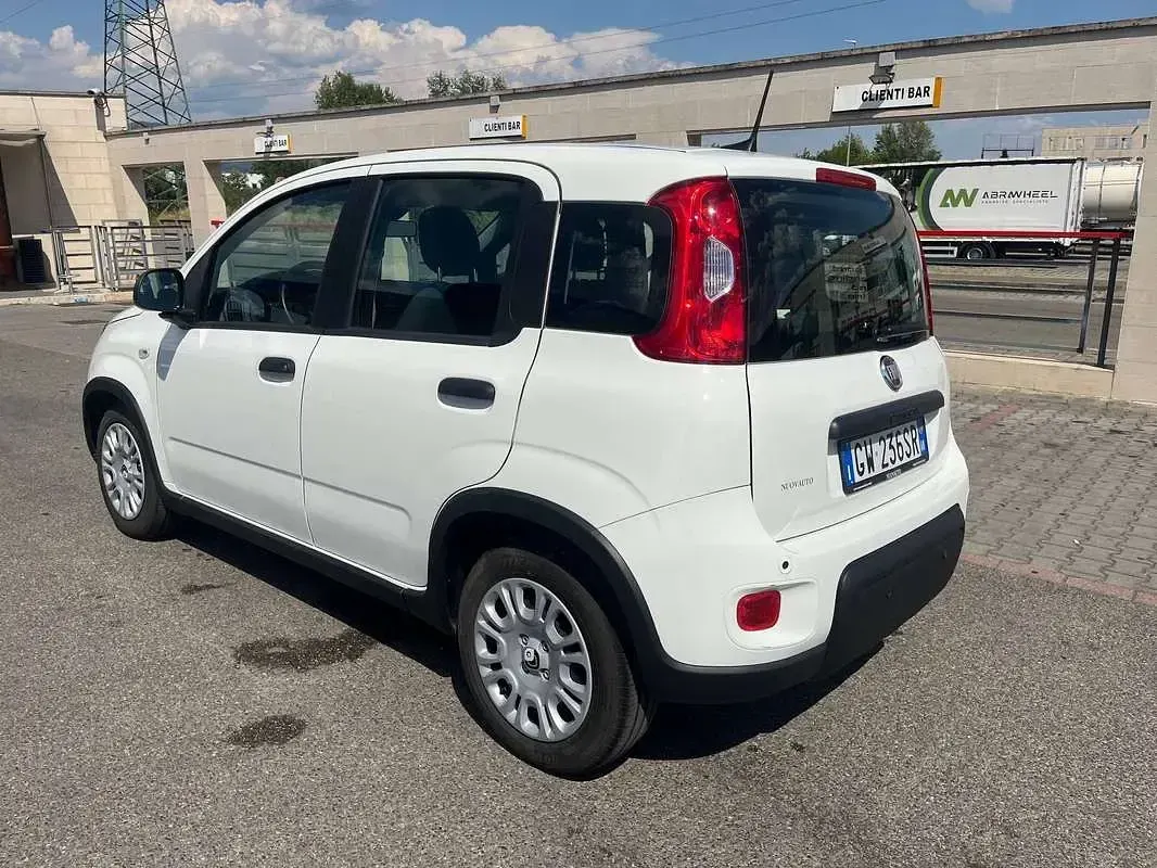 Usata Fiat Panda S 69 CV (50 kW) 2024 Bianco Utilitaria