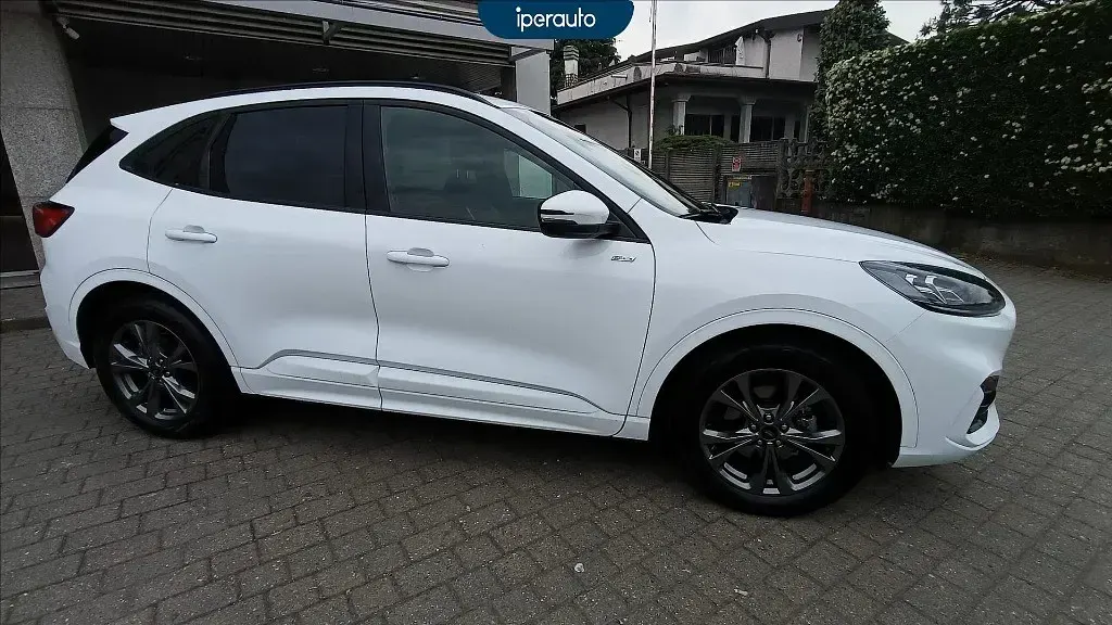 Usata Ford Kuga ST-Line X 190 CV (139 kW) 2023 Bianco SUV