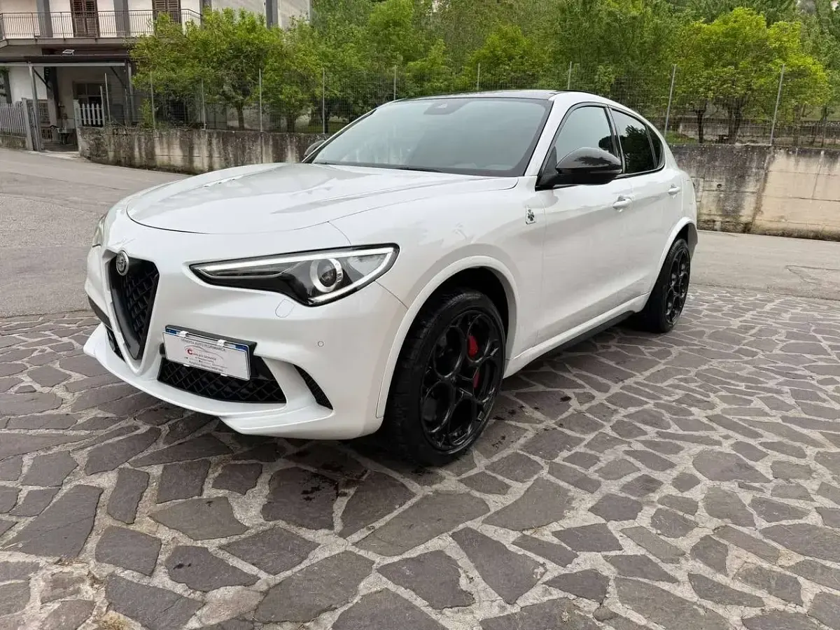 Usata Alfa Romeo Stelvio Quadrifoglio 510 CV (375 kW) 2021 Perlato SUV