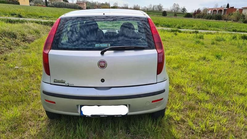Usata Fiat Punto Active 60 CV (44 kW) 2009 Utilitaria