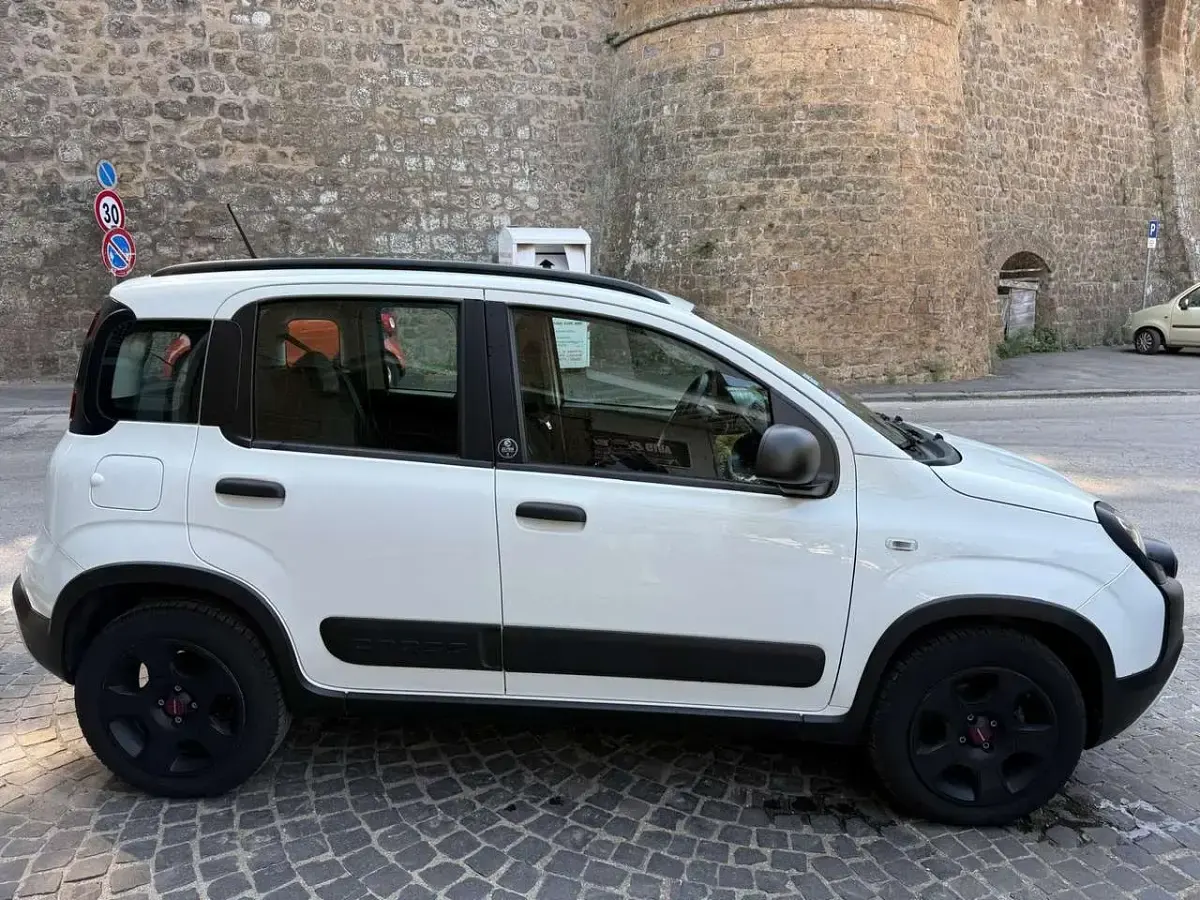 Usata Fiat Panda Cross Cross 69 CV (50 kW) 2020 Bianco Utilitaria