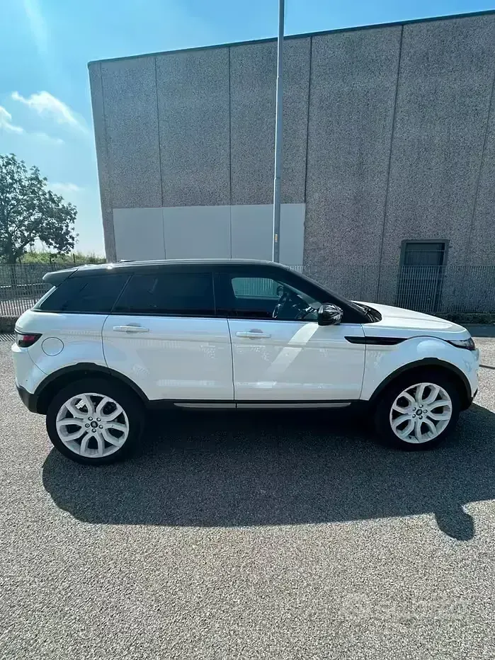 Usata Land Rover Range Rover evoque 150 CV (110 kW) 2015 Bianco Station wagon