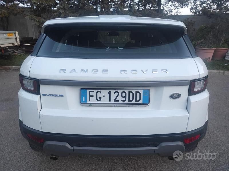 Usata Land Rover Range Rover evoque 150 CV (110 kW) 2016 Bianco SUV