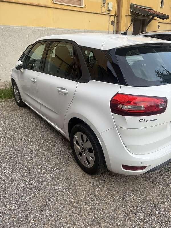Usata Citroën C4 Picasso Intensive 120 CV (88 kW) 2015 Bianco Monovolume