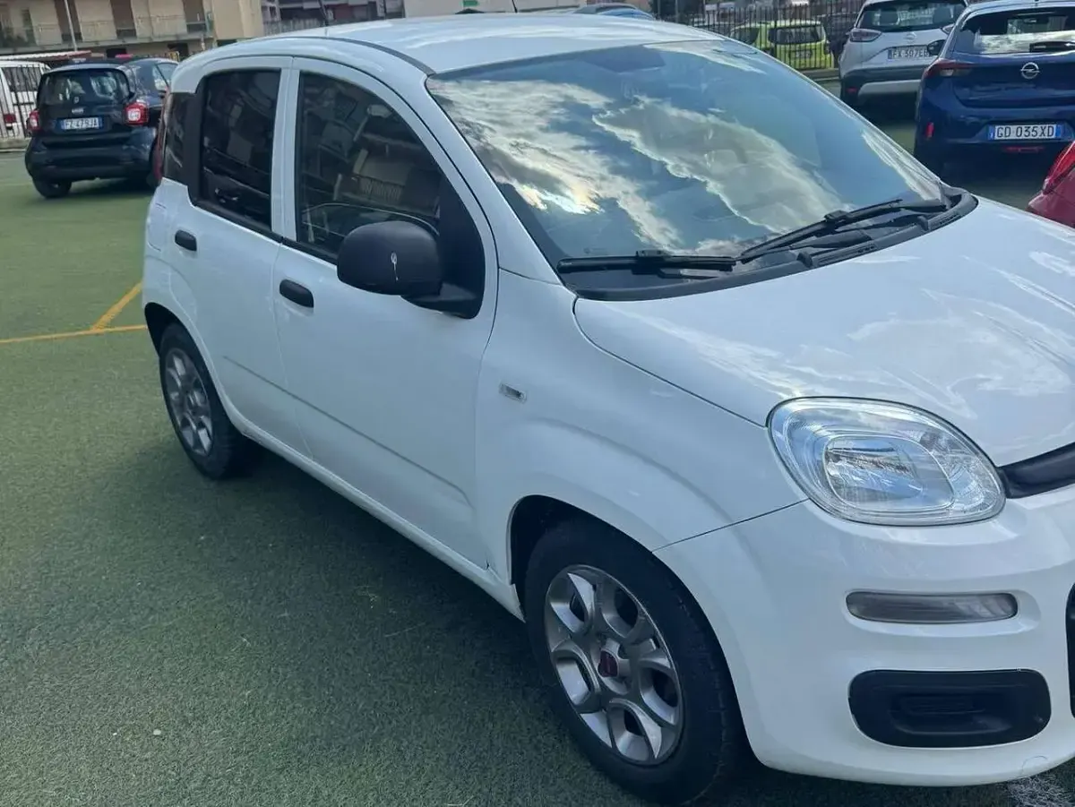 Usata Fiat Panda Active 69 CV (50 kW) 2021 Bianco Utilitaria