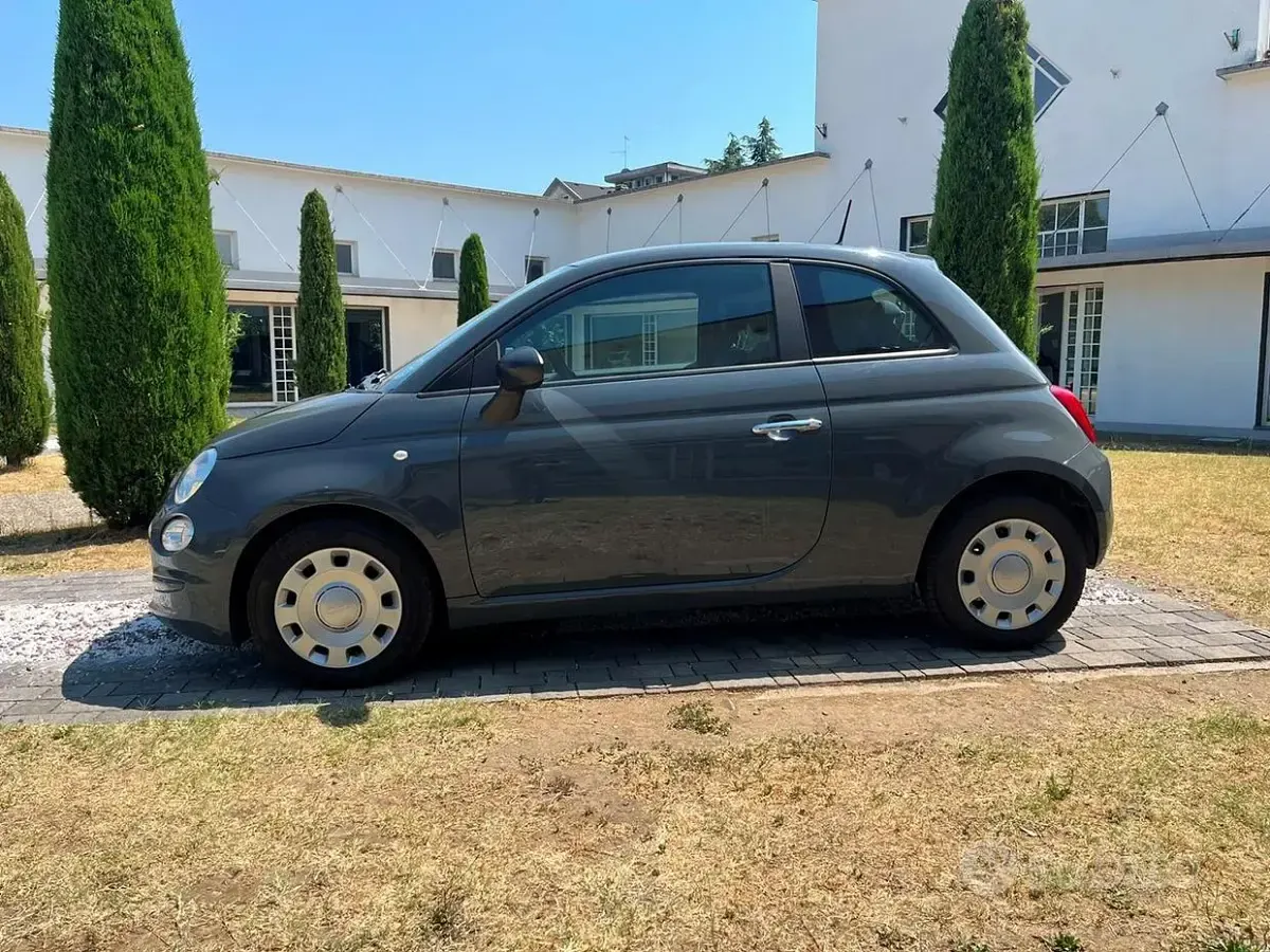 Usata Fiat 500 69 CV (50 kW) 2022 Grigio carrara Utilitaria