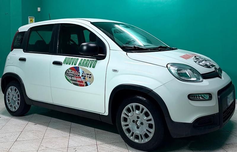 Usata Fiat Panda 69 CV (50 kW) 2024 Bianco Utilitaria