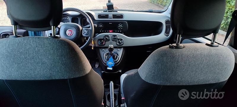 Usata Fiat Panda 4x4 85 CV (62 kW) 2021 Utilitaria