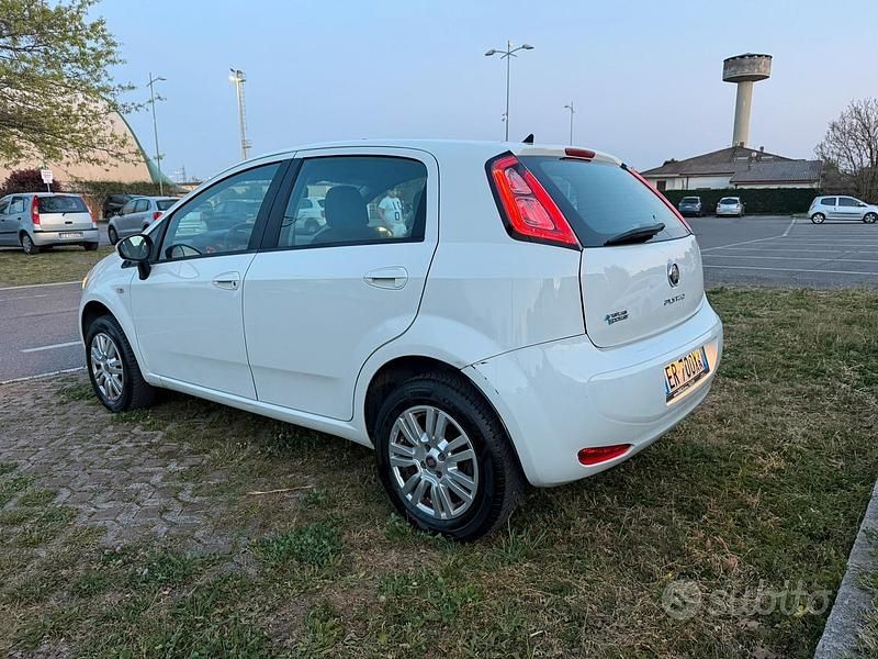 Usata Fiat Punto 77 CV (56 kW) 2013 Bianco Utilitaria