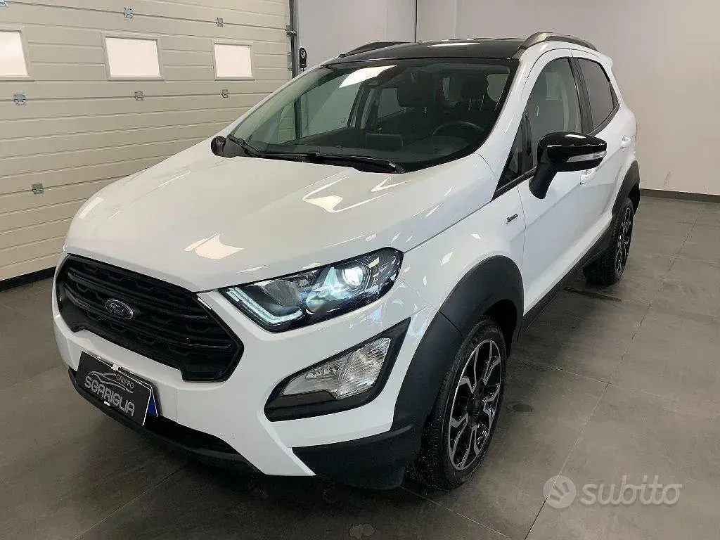 Usata Ford Ecosport Active 125 CV (91 kW) 2022 Bianco SUV