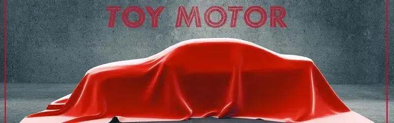 Usata Toyota C-HR Active 122 CV (89 kW) 2019 Viola SUV