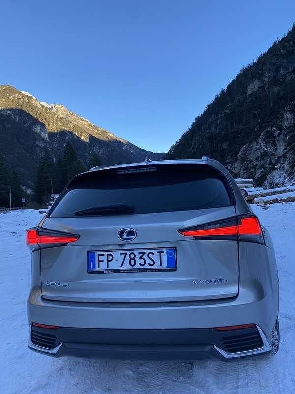Usata Lexus NX300h E-FOUR Executive Line 196 CV (144 kW) 2018 SUV