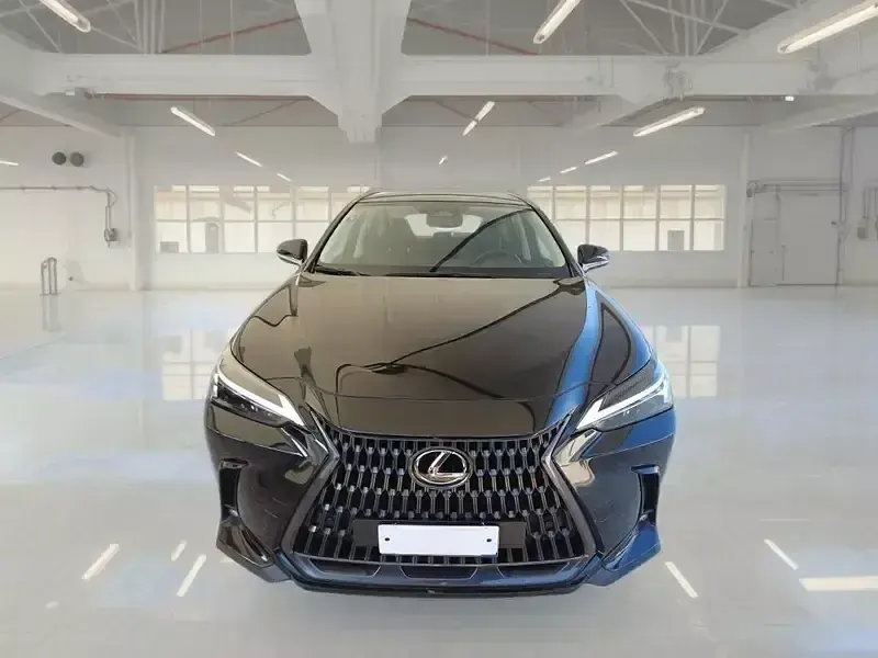 Usata Lexus NX350h Business Edition 190 CV (139 kW) 2022 SUV