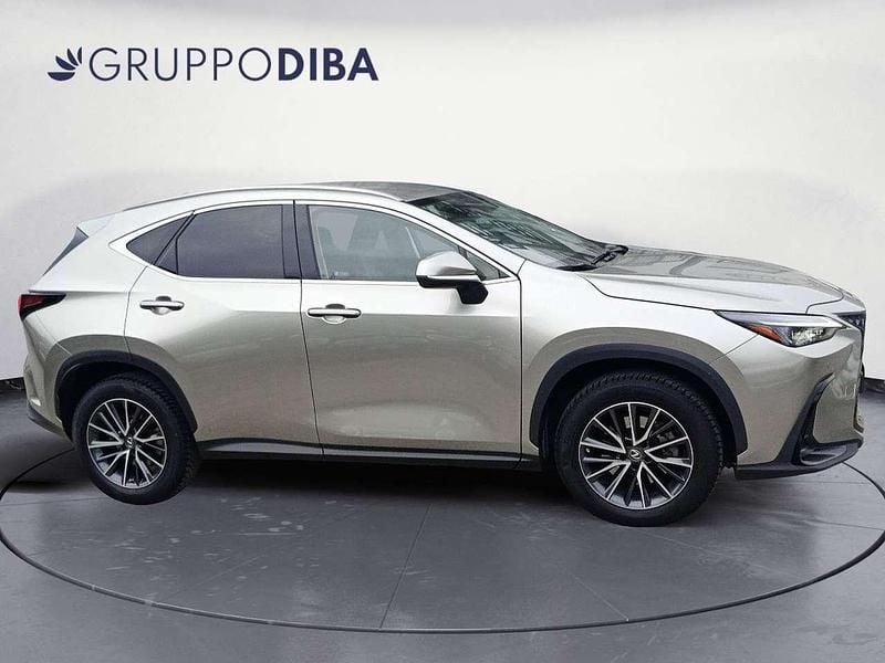 Usata Lexus NX350h 243 CV (178 kW) 2023 Grigio SUV