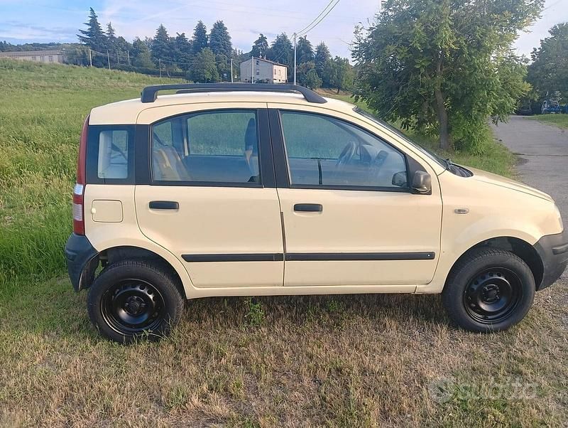 Usata Fiat Panda 4x4 60 CV (44 kW) 2005 Giallo Utilitaria