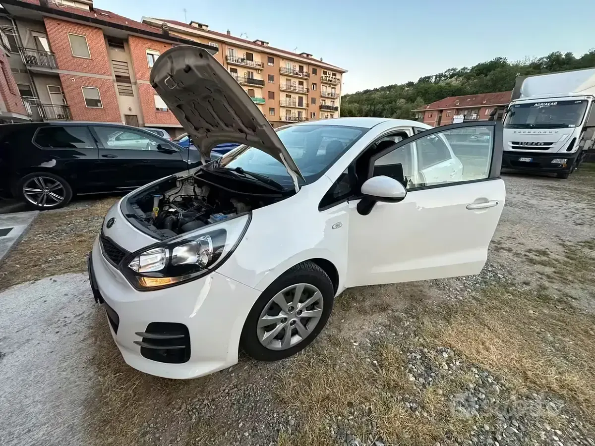 Usata Kia Rio 85 CV (62 kW) 2016 Bianco Utilitaria