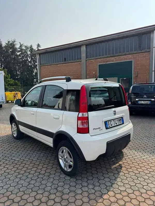 Usata Fiat Panda 4x4 Climbing 75 CV (55 kW) 2012 Utilitaria