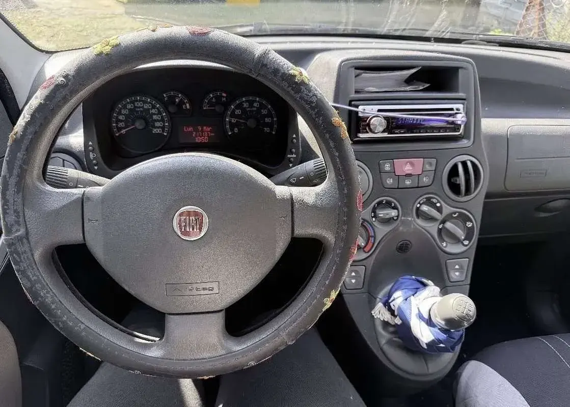 Usata Fiat Panda Dynamic 60 CV (44 kW) 2009 Marrone Utilitaria