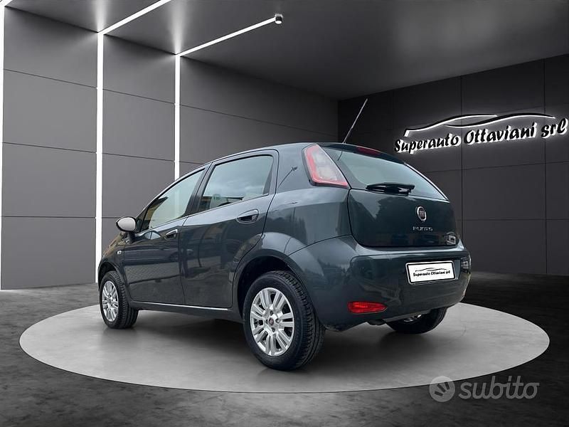 Usata Fiat Punto Street 69 CV (50 kW) 2015 Grigio Utilitaria